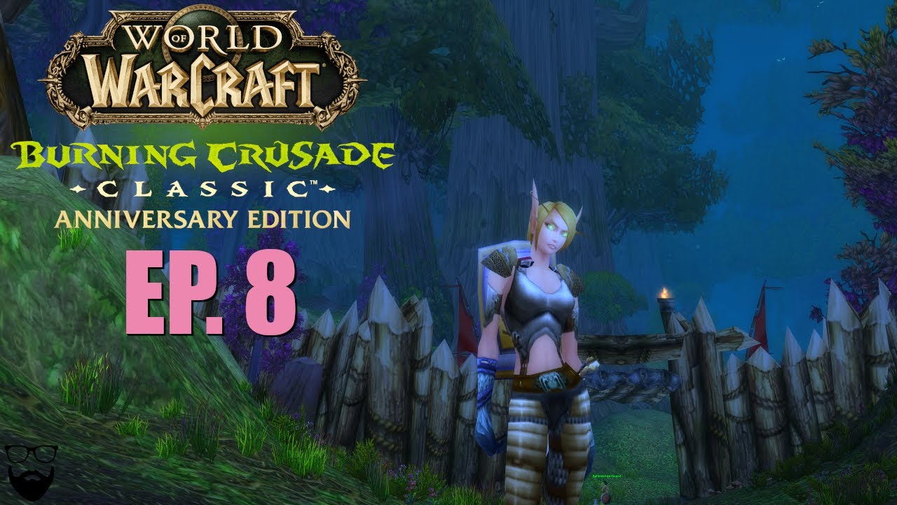 World of Warcraft The Burning Crusade Classic - Paladin - Part 8 - Dreamcythe US - Chill Leveling