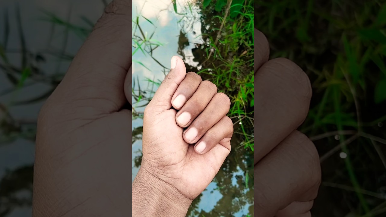 The unique moth larvae 🥰