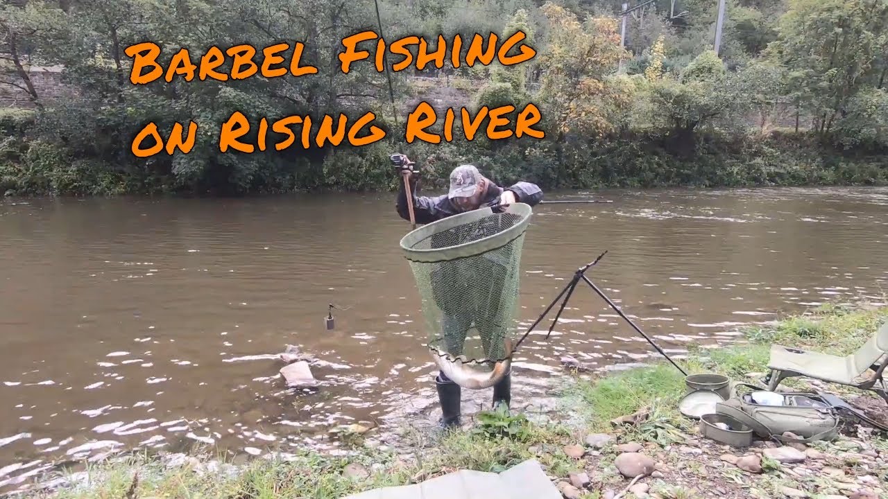 Barbel Fishing On The Rising River Ourthe  Ep.11 | P&ecirc;che du barbeau dans une Ourthe en hausse Ep.11