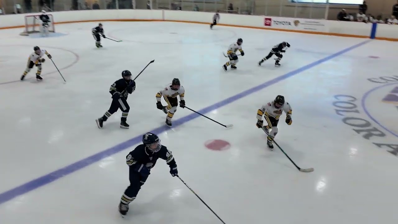 2026.02.15 Ice Dogs 12UA vs Colorado Springs Tigers 2nd Period