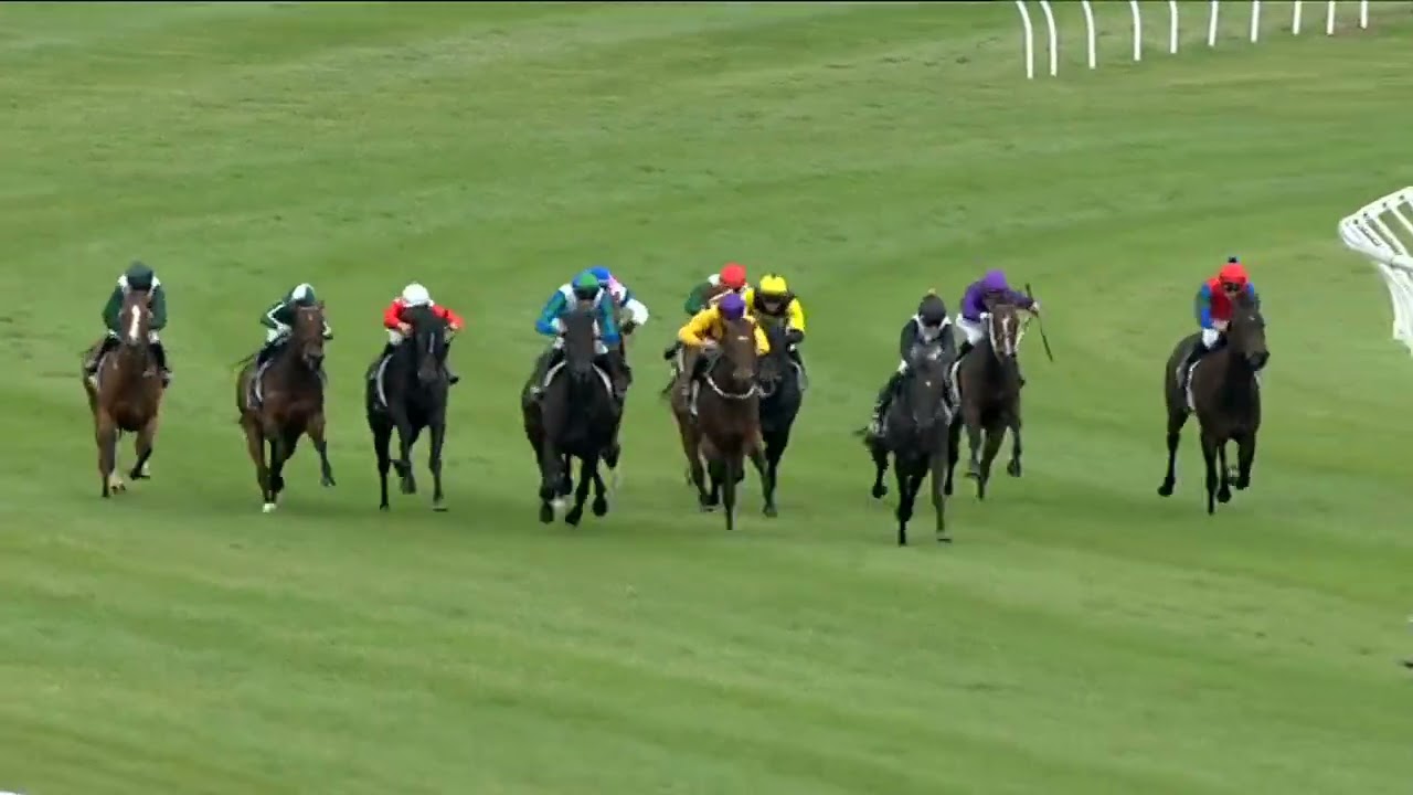 Desert Gold Stakes 2026 - FAIRY DREAM (3YOF SW G3) Group 3 Trentham NZ 17 January