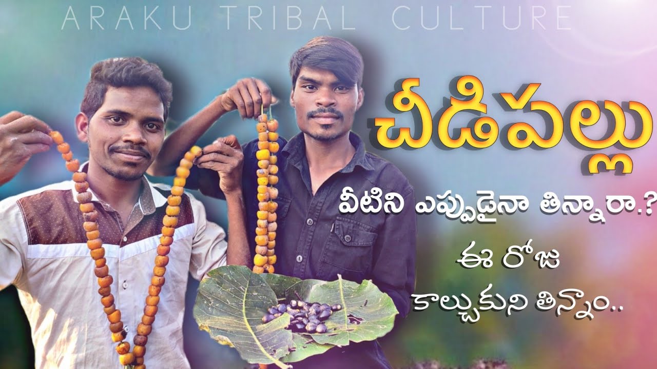 ఈ పల్లు ఎప్పుడైనా తిన్నారా.? | చీడిపల్లు | Chidipallu | Araku Tribal People | TribesLifestyleInIndia