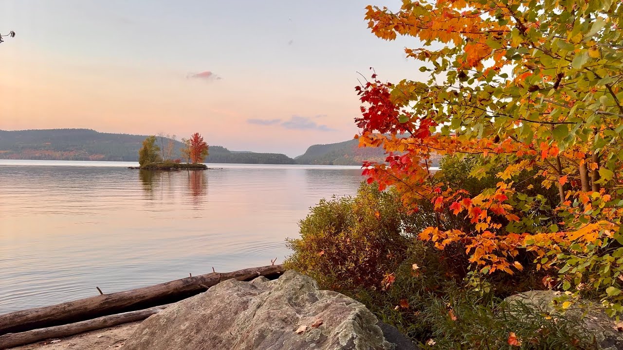 Beautiful Fall Solo Camp in Driftwood Provincial Park