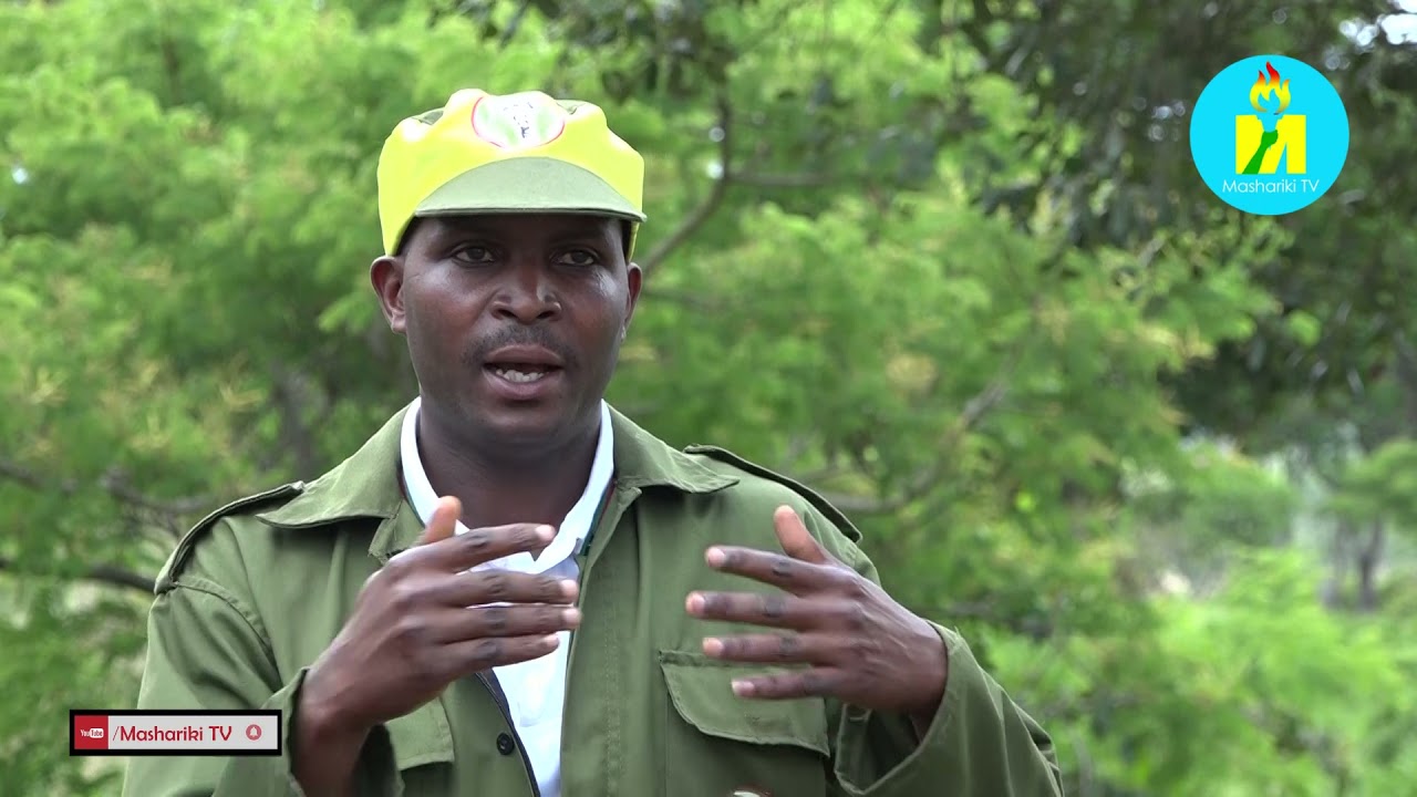 #Mashariki_TV irabashikana mu ruhongore kama rw'igihugu rwa #Ruvubu (Parc national de la Ruvubu)
