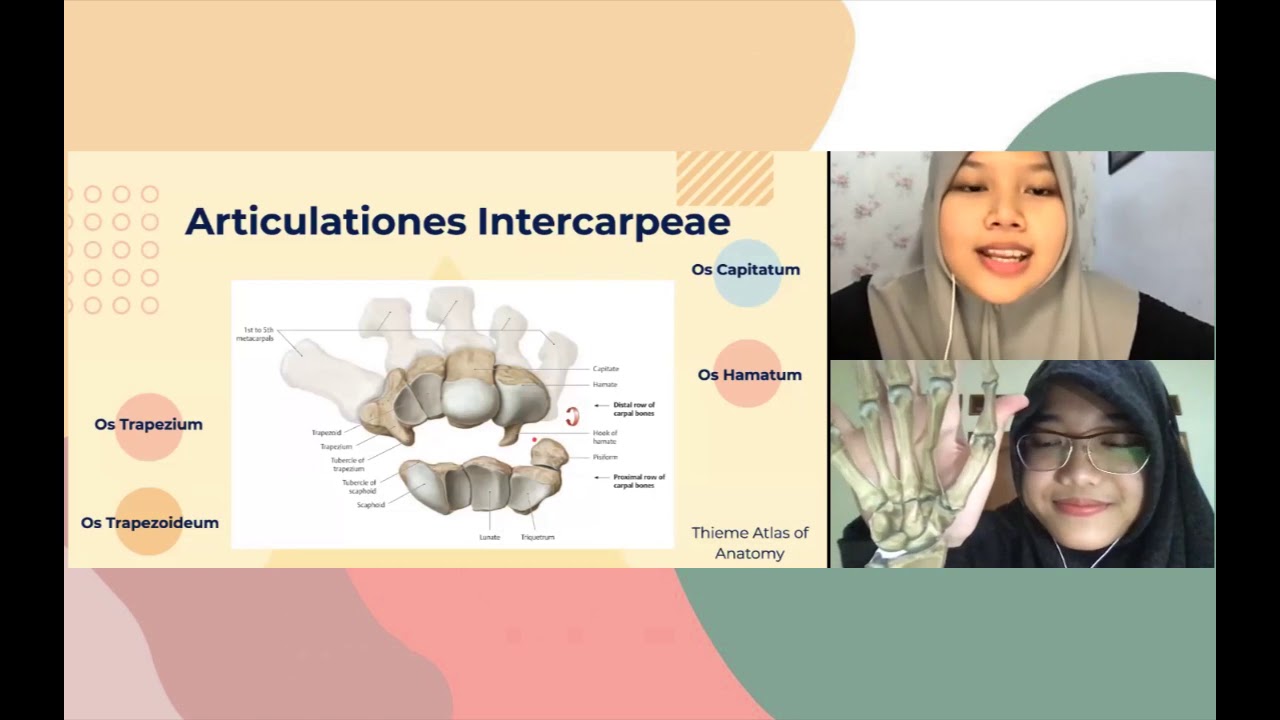 [Anatomy the MOVIES] Ossa Carpi 101