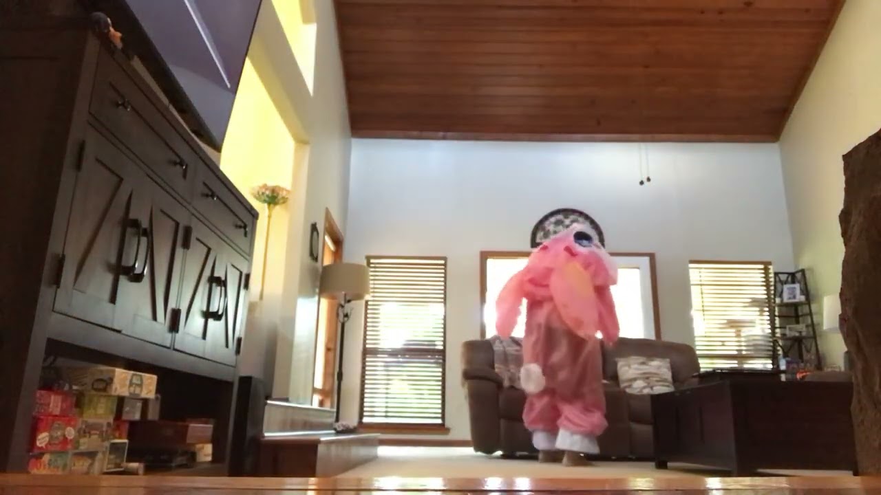Doing the Loco-Motion in my inflatable bunny costume