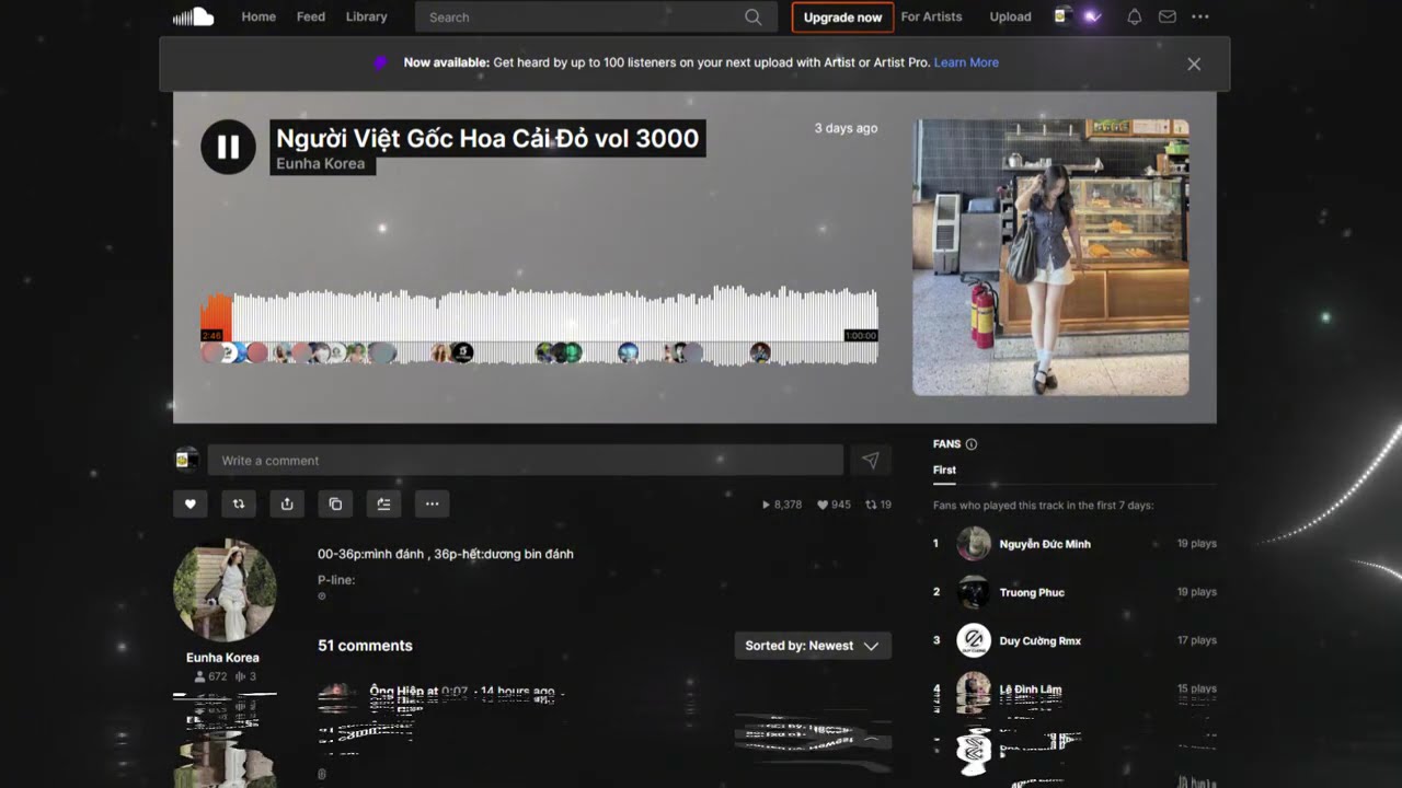 NGƯỜI VIỆT GỐC HOA CẢI ĐỎ VOL 3000 - EUNHA KOREA MIX