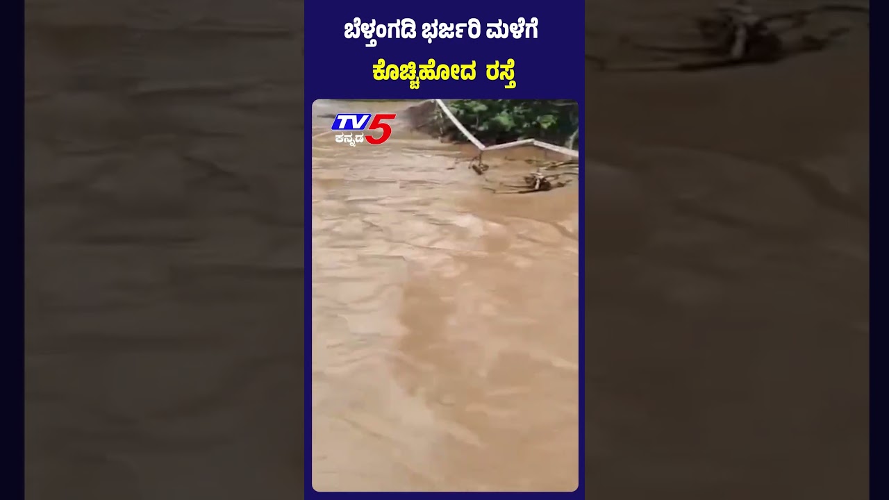 Belthangady Heavy Rain | ಬೆಳ್ತಂಗಡಿ ಭಾರಿ ಮಳೆಗೆ ಕೊಚ್ಚಿಹೋದ ತಾತ್ಕಾಲಿಕ ರಸ್ತೆ