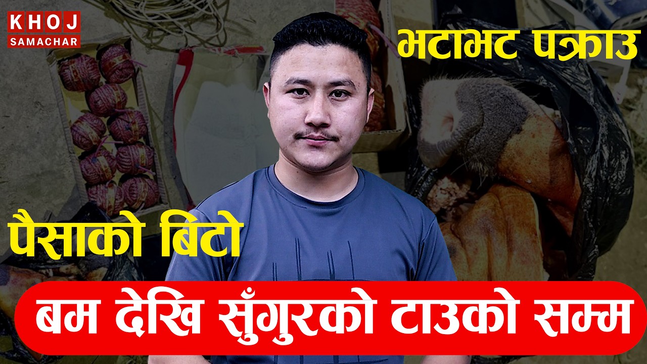 Nepal Election Update: 2 Candidates Arrested, Security Tightened Nationwide | All Country Updates
