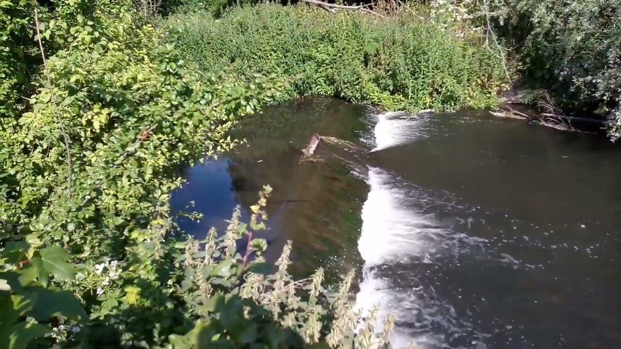 River Lea in Hertford :)