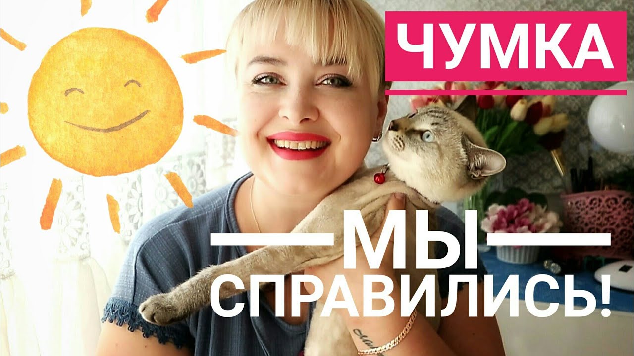 Кот не ест и не пьет...   Но мы СПРАВИЛИСЬ! История выздоровления кота от вируса чумки