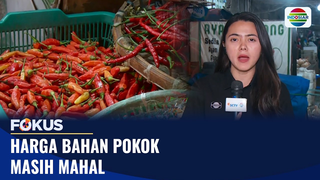 Harga Bahan Pokok Masih Mahal | Fokus