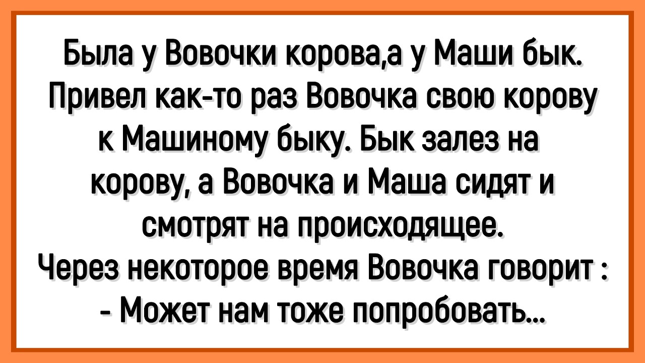 🤡Как Вовочка Водил Свою Корову К Машкиному Быку! Сборник Смешных До Слёз Анекдотов! Юмор! Позитив!