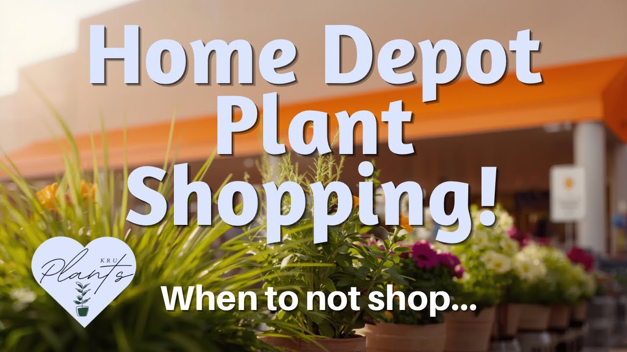 When NOT to Buy Plants at Home Depot 🌿 Honest Plant Shopping Review #bigboxplantshopping #plants