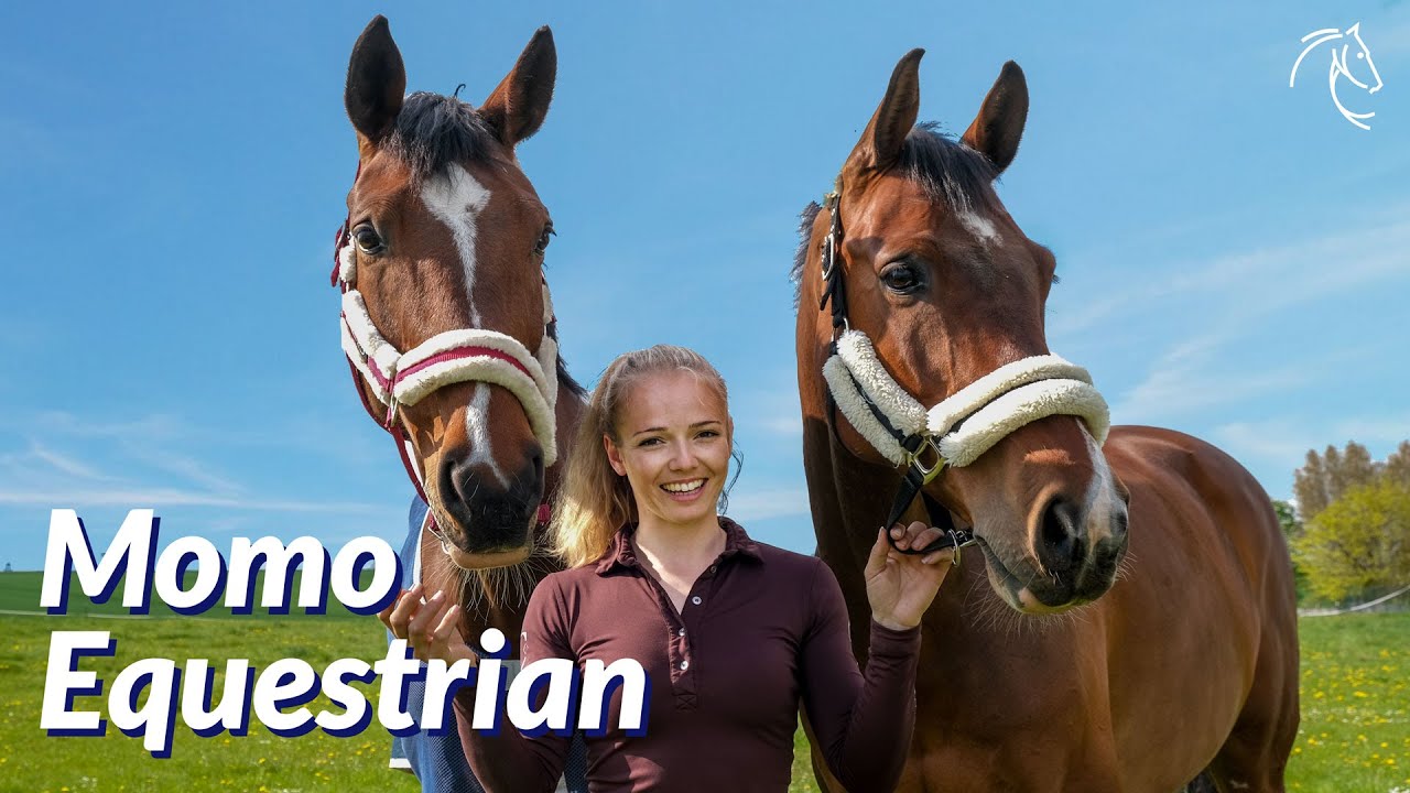Sie lebt ihren Traum mit den Pferden! 😍 | Ein Tag mit @Momo Equestrian auf dem Buchenhof 🐴