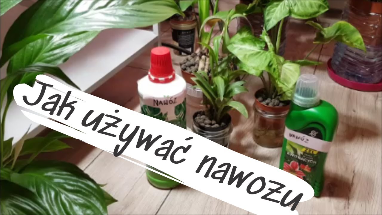 Jak używać nawozu
