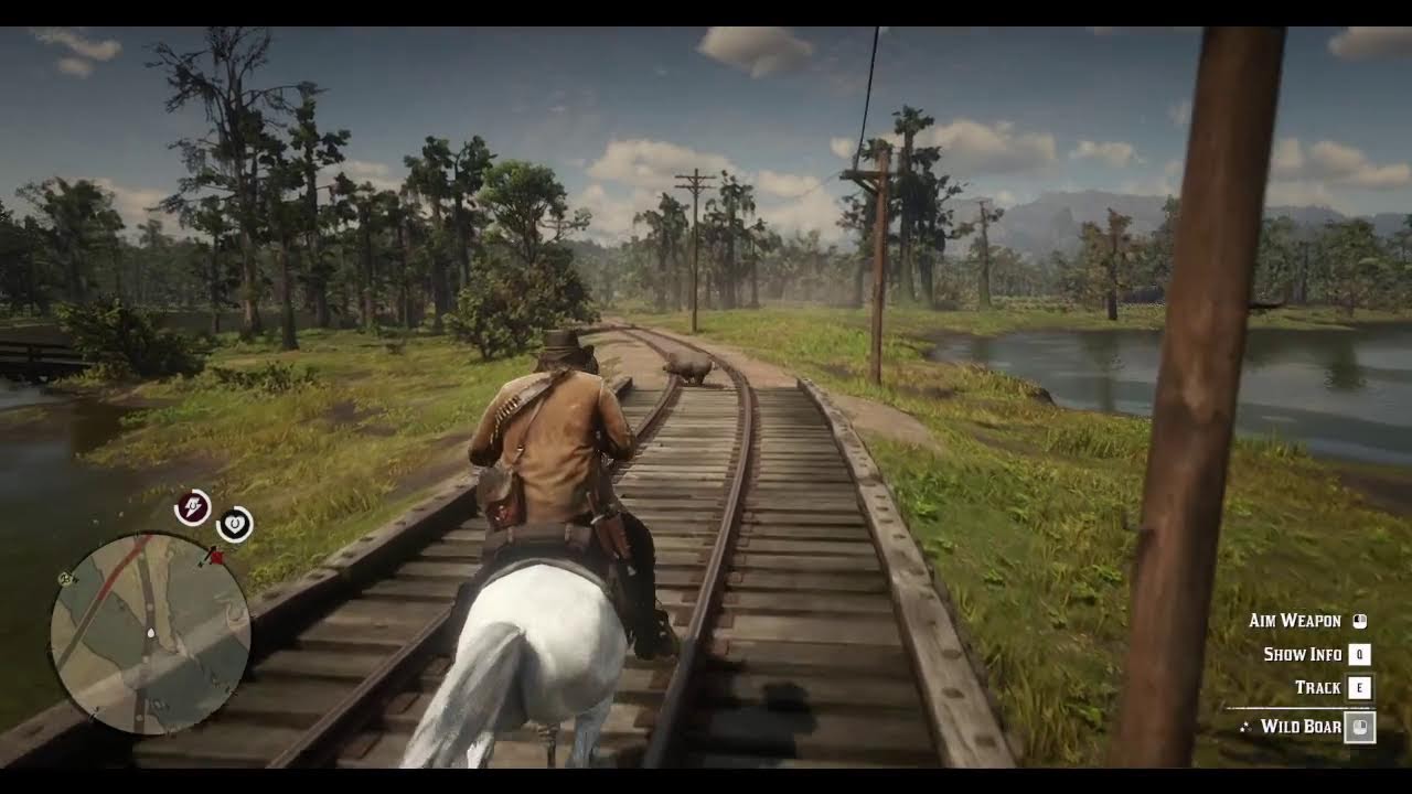 wild west