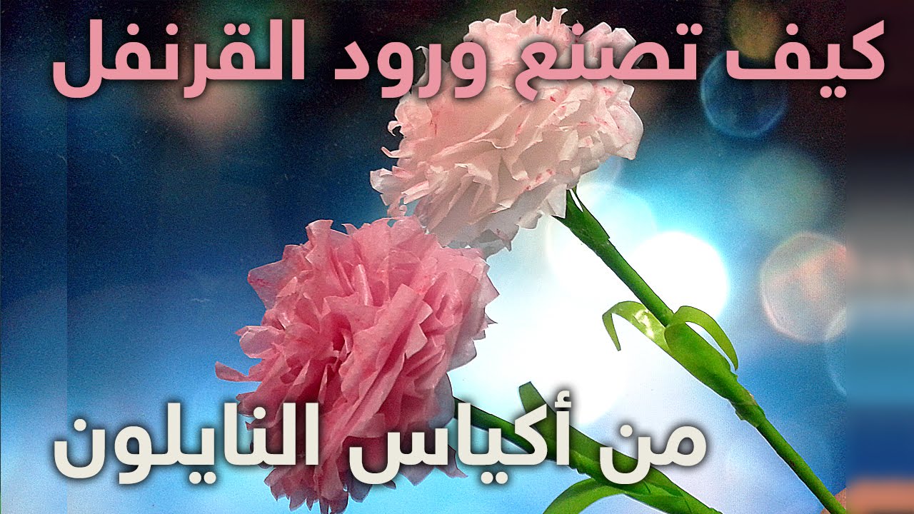 كيف تصنع زهرة قرنفل جميلة من اكياس النايلون  how to make a beautiful flower from nylon bags