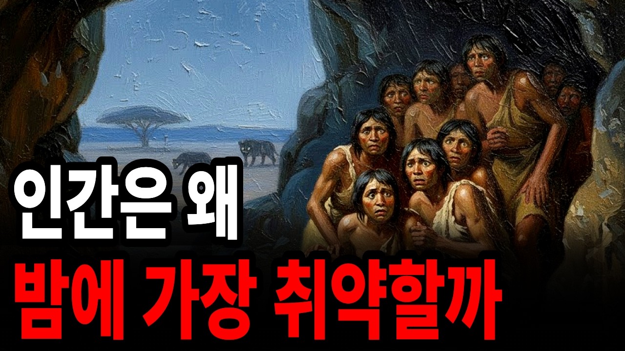 인간은 왜 야행성으로 진화하지 않았을까?
