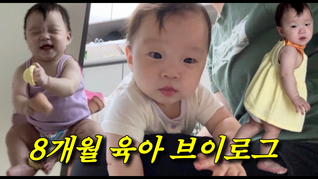 8개월 브이로그(246~259일) | 200일 촬영, 잉글레시나 퀴드3 언박싱, 베이비카페