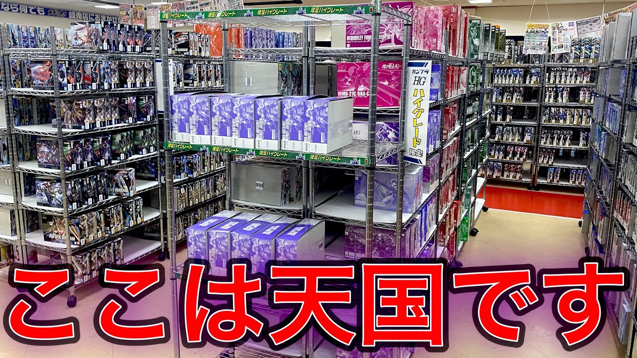 【ガンプラ在庫の山】ここ以上の品揃えは見たことない！王の洞窟さんを見てきました！