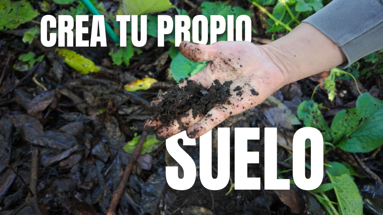 La mejor manera de proteger la naturaleza es CREANDO SUELO | 3 estrategias sostenibles