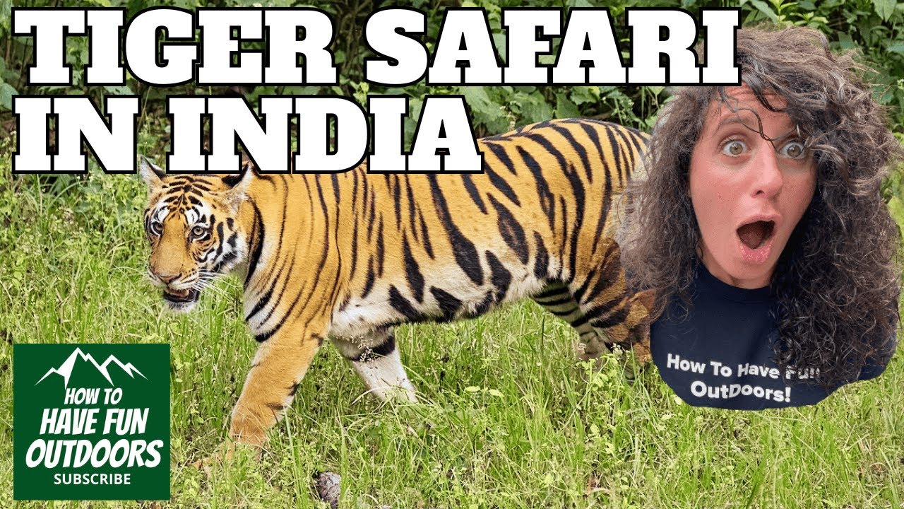 Insane Bengal Tiger Safari in India