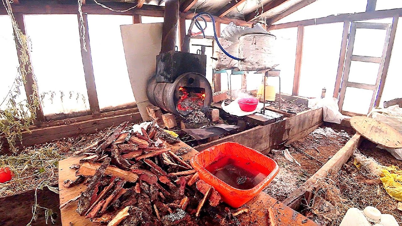 “ТАЙГА” ДОБЫВАЮ СЕРУ 3-е СУТОК В ЛЕСУ !!МОЙ ЗАРАБОТОК НА ЖЕВАТЕЛЬНОЙ СЕРЕ!