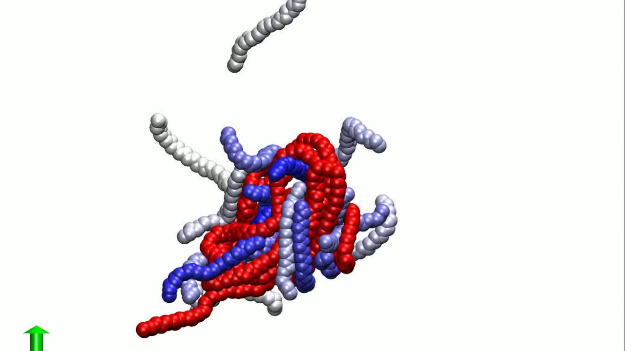 Polymer chain separations from solutions : Molecular dynamics simulation MDS