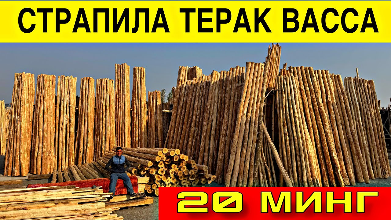 TERAK BOZOR NARXLARI☎️ +998 90-291-75-75