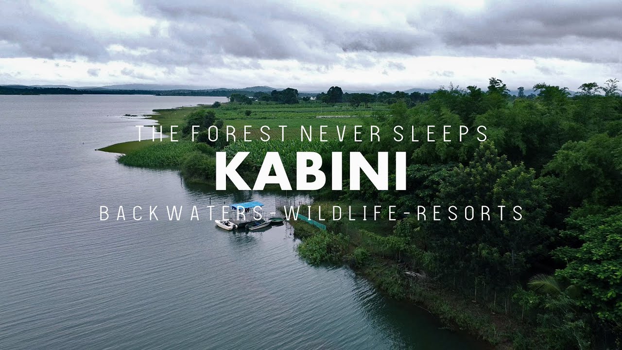 24 часа в Кабини — Red Earth Kabini | Kabini Backwaters | Kabini Wildlife