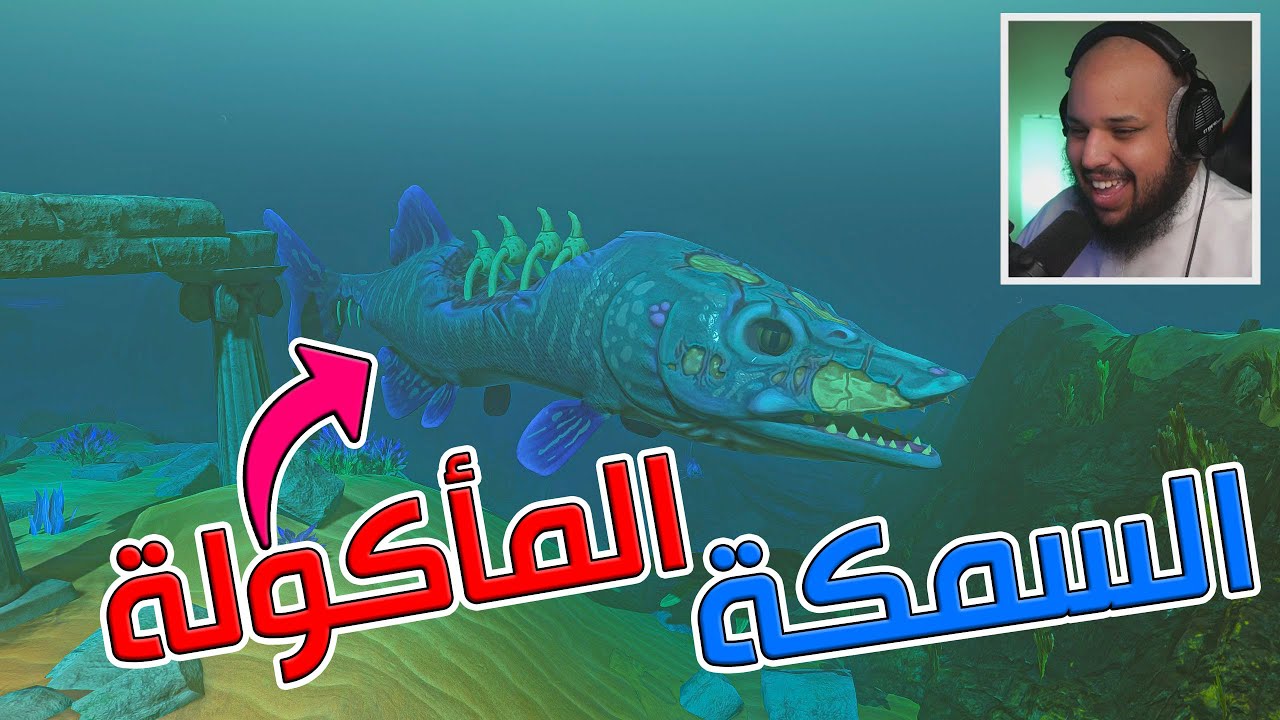 السمكة المأكولة 🐟سريعة مره | Feed and Grow: Fish