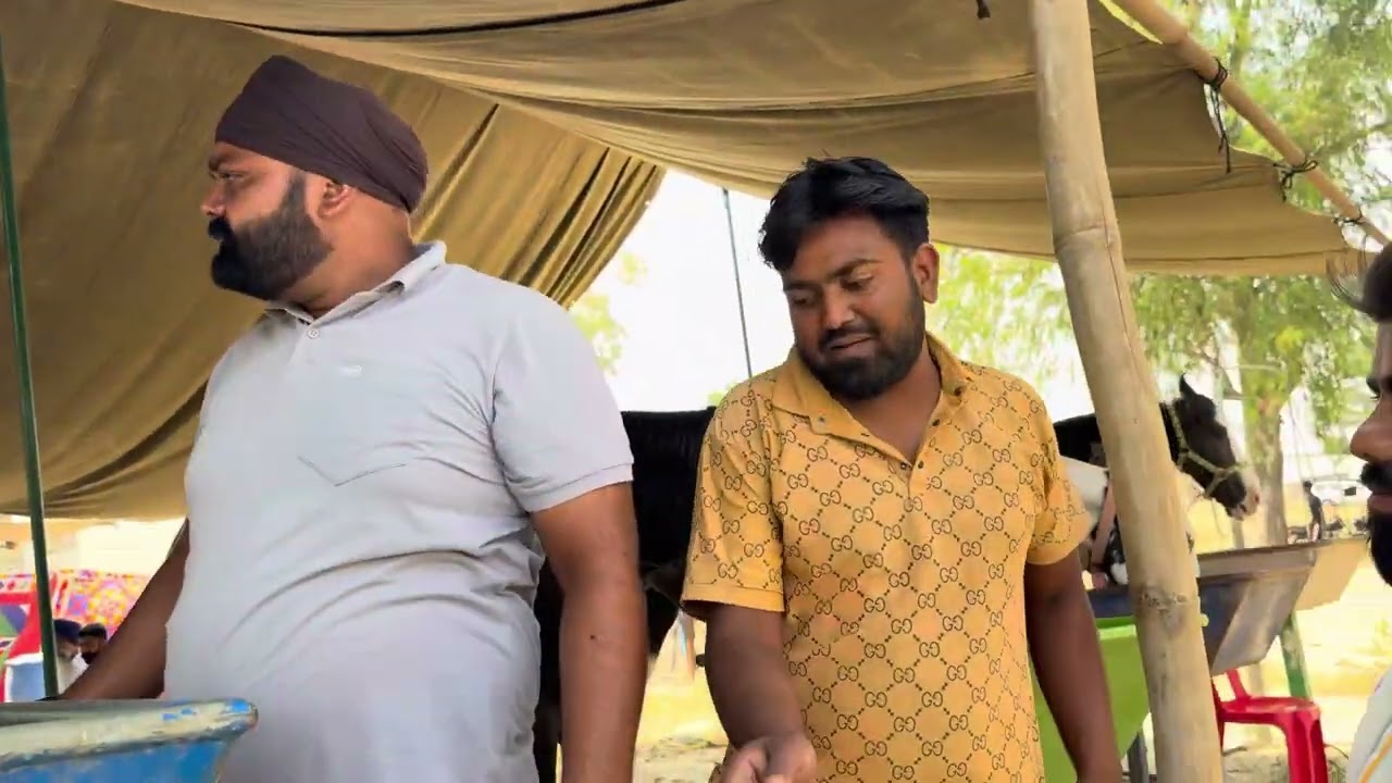 Dussehra Mandi 2024 part 1  Sri Muktsar Sahib 🐎