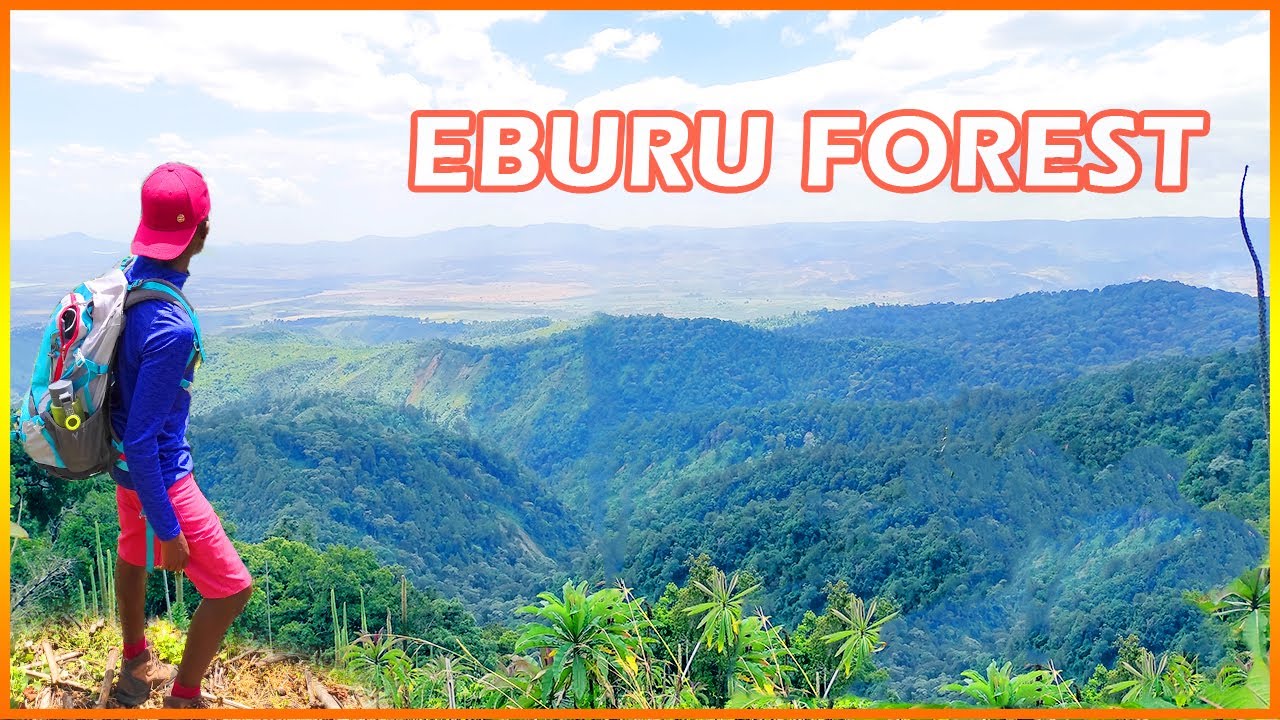 The Eburu Forest Expedition
