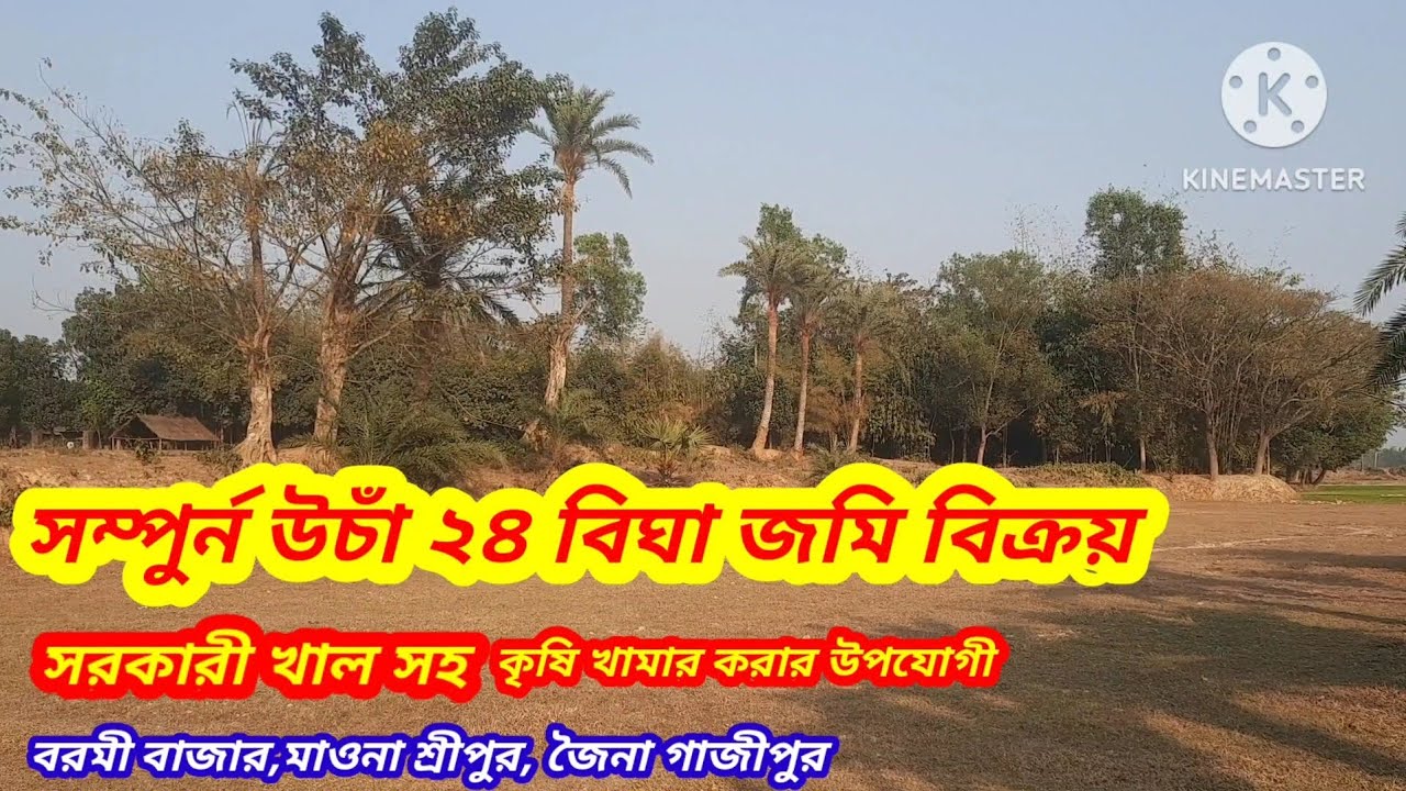 ২৪ বিঘা উচাঁ জমি বিক্রি।। বরমি, সাতখামাইড়, গাজীপুর#asset seller#Land sale gazipur bormi Sreepur