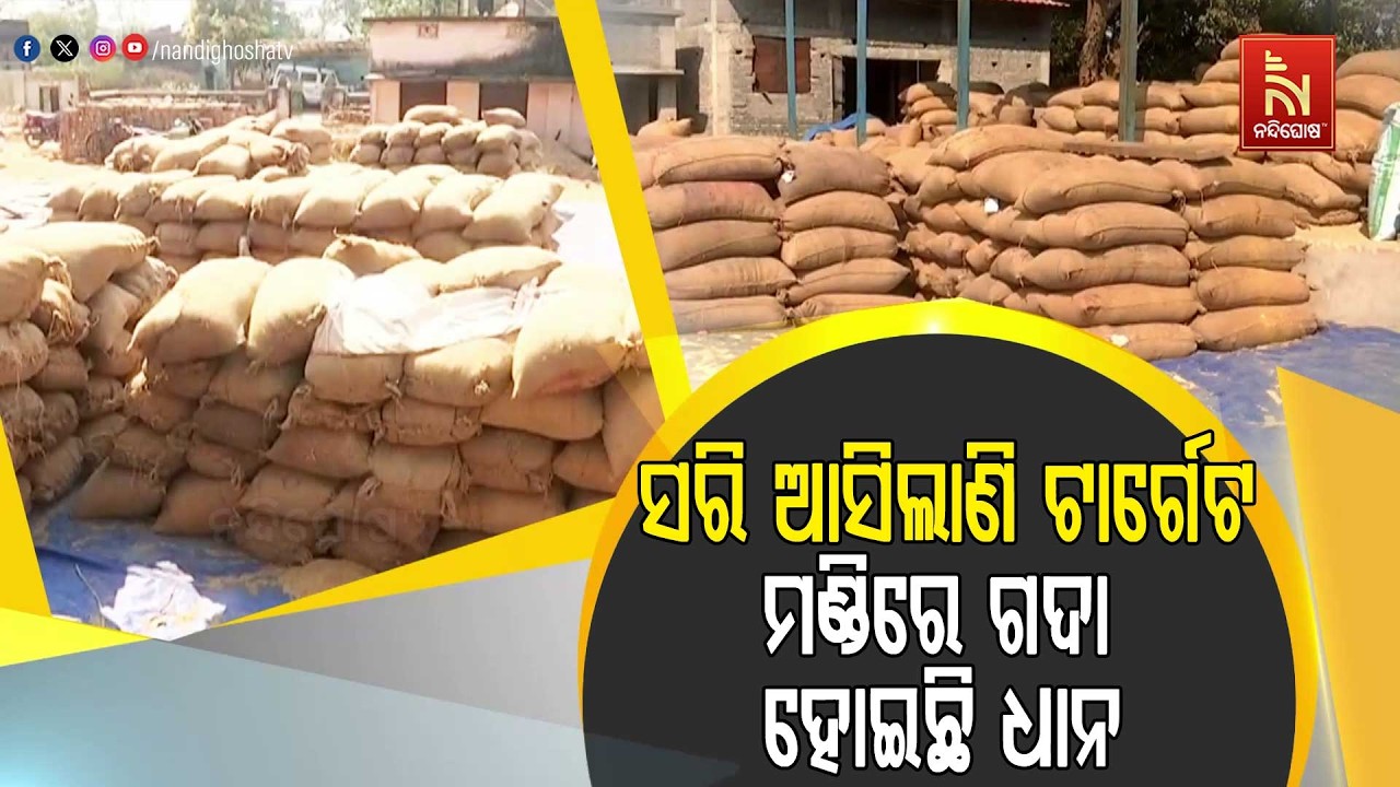 ଧାନ ରଖିବାକୁ ମିଲର୍ସ ଗୋଦାମରେ ଜାଗା ନାହିଁ I ସେପଟେ ଏବେବି ମଣ୍ଡିରେ ଗଦା ହୋଇ ରହିଛି ଶହ ଶହ କ୍ବିଣ୍ଟାଲ ଧାନ