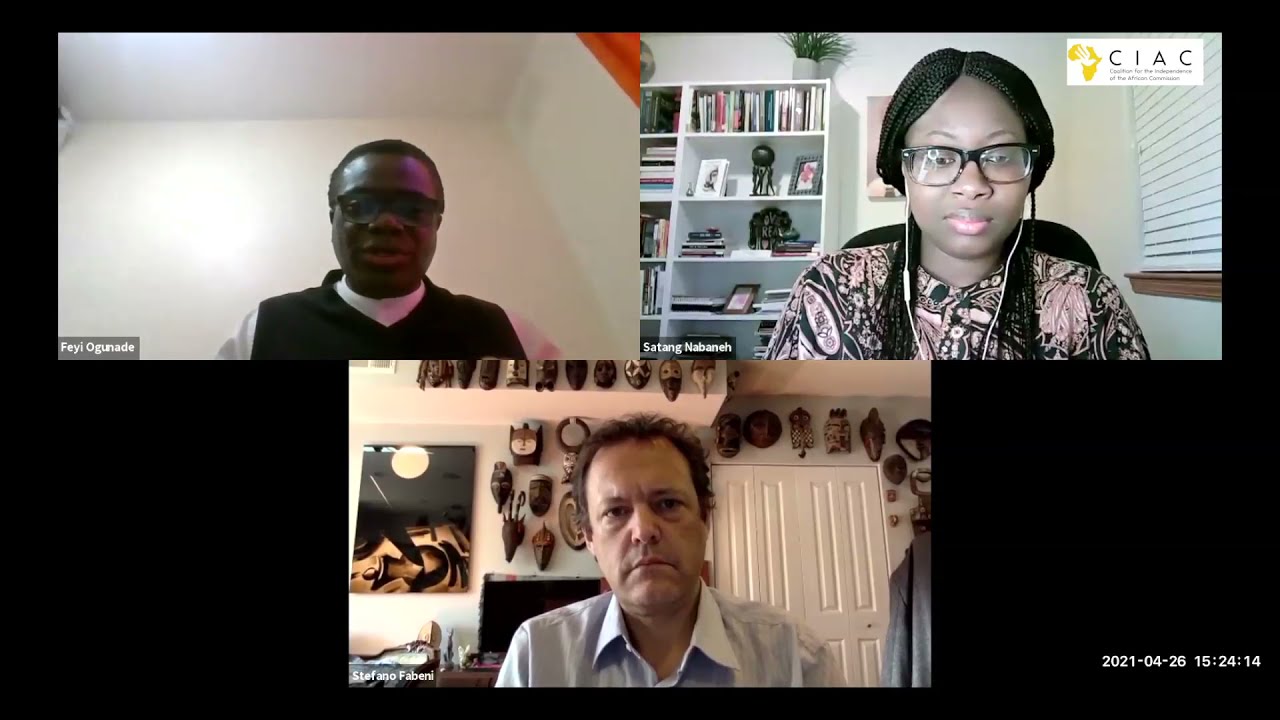 The African Commission:The Mandate & 2020 in Review