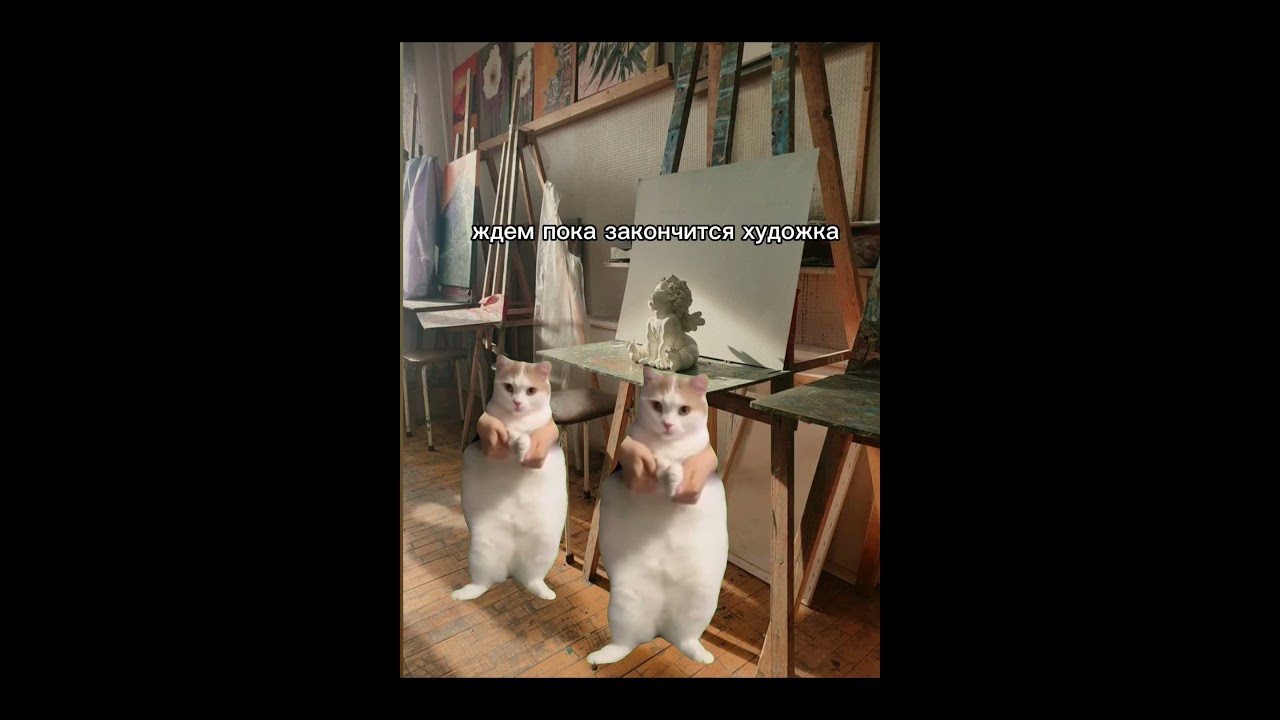 та самая среда😂🤣; 