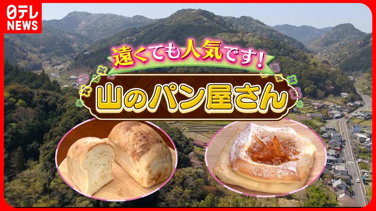 【パン】石窯焼きのパリもち食パン＆湘南しらすパン！山の中の人気店『every.特集』