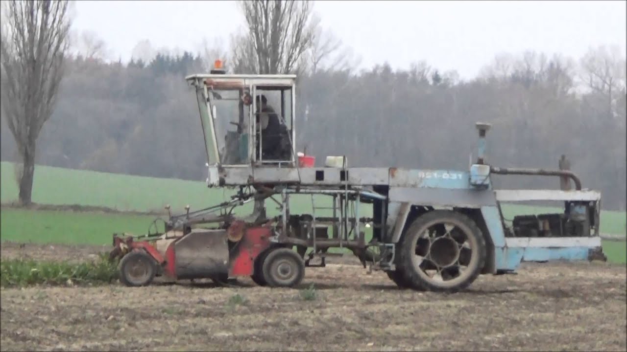 Sklizeň cukrové řepy na Královehradecku