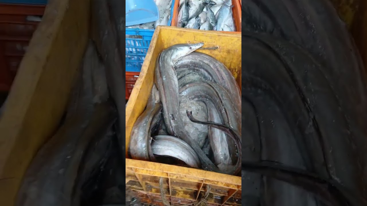 PARADEEP FISH MARKET