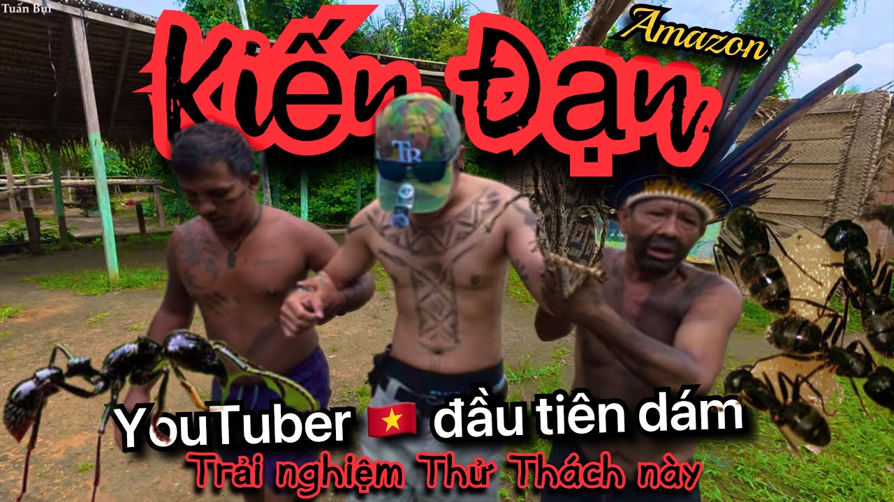 🇧🇷 Thử Thách Kiến Đạn Amazon-Loài Kiến có vết đốt đau đớn nhất thế giới-Gã khổng lồ của loài Kiến