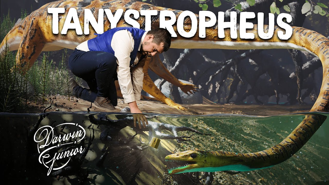 DINOPEDIA S2 #7 - Tanystropheus