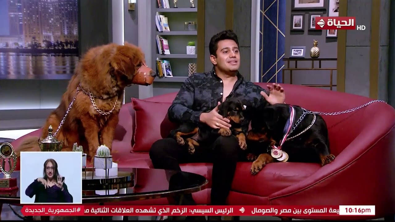 واحد من الناس - باسم هانط: كنت بخاف جداً من الكلاب والتجربة بدأت بنصيحة من والدي