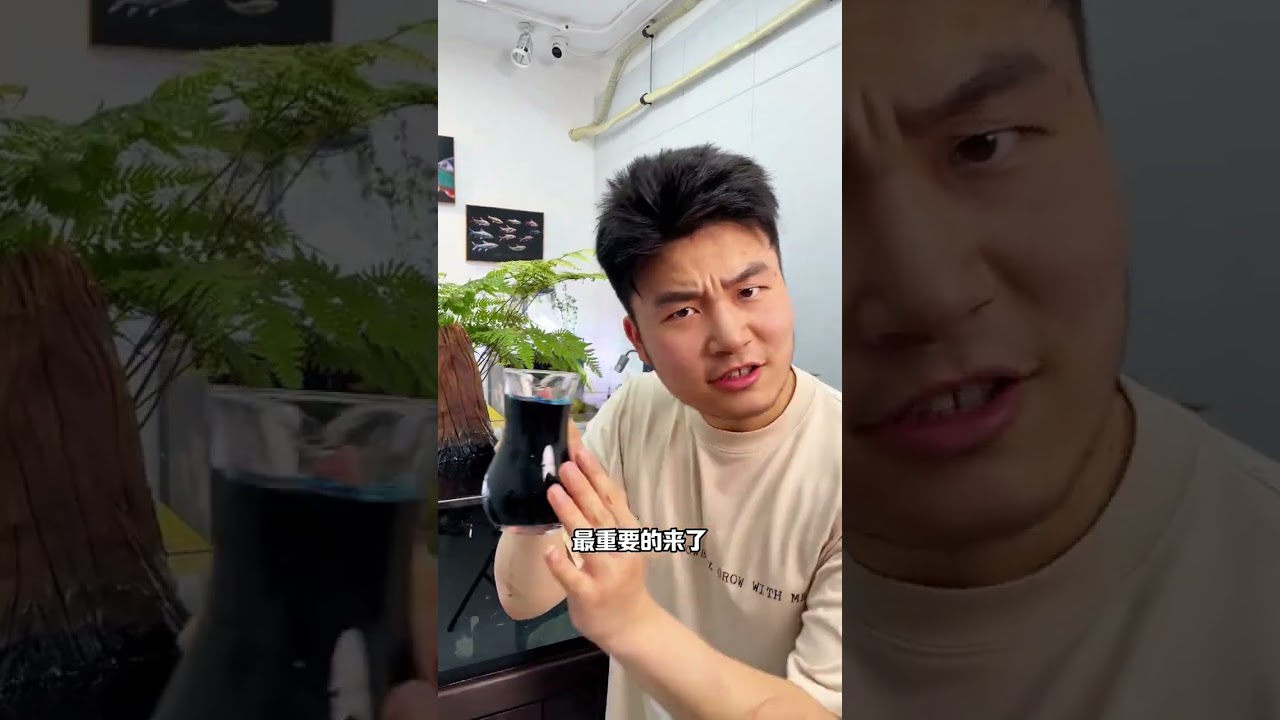 新买了一千条黑尾大勾入缸！教你如何正确入缸检疫！养鱼日记 新鱼入缸 开缸