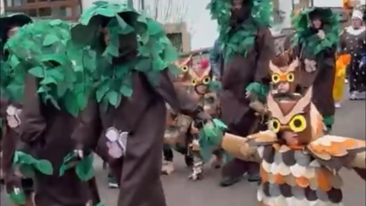 Carnaval Infantil CEIP Concepción Arenal e IES Jesús de Monasterio Potes 13/02/2026 