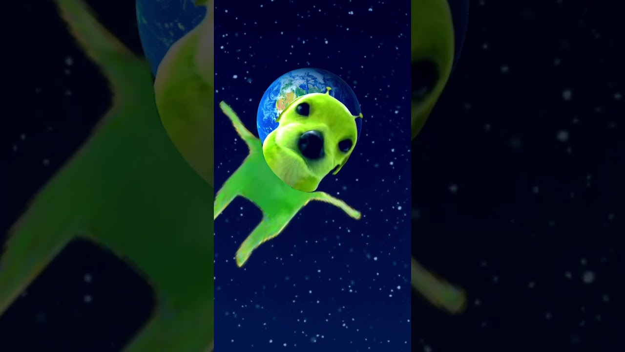Alien dawg