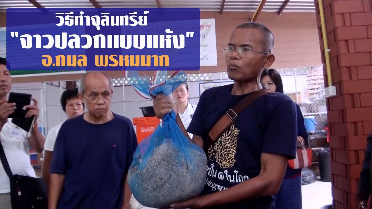 วิธีทำจุลินทรีย์จาวปลวกแบบแห้ง(ผง) โดย อ.กมล พรหมมาก
