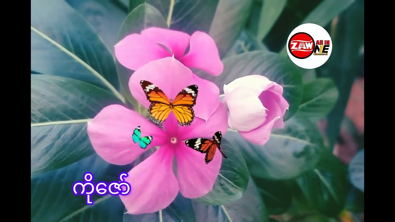 အရာရာအစက ပြန်စလို့ရရင် ၊ စာရေးဆရာ ဦးခင်ဇော်