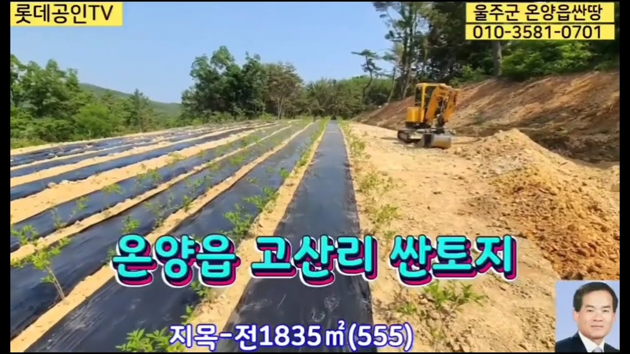 NO.291번. 구입가격보다 싸게 팝니다. 고산리 싼 땅, 전1,835㎡(555)  3.3㎡ 당12만원